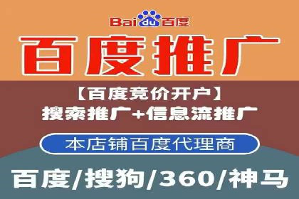 SEM推广公司成功案例：助力企业实现品牌多元化发展